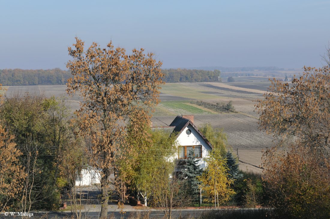 Polska Prowincja Komarów Osada